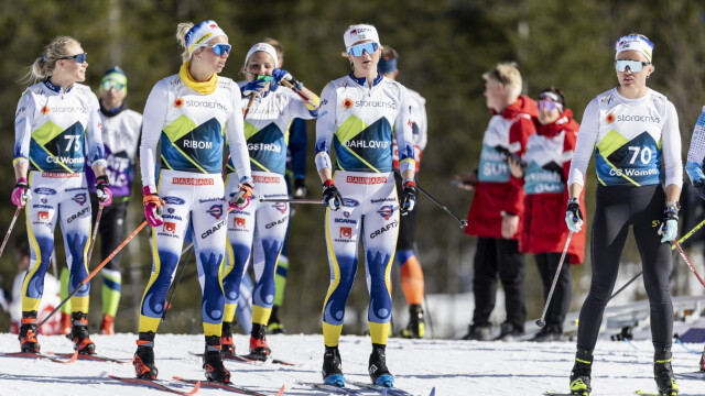 Шведские лыжники требуют большого увеличения зарплаты