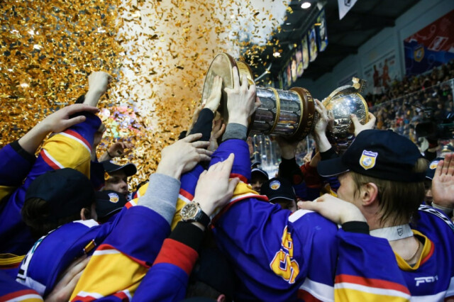 Воскресенский «Химик» стал победителем ВХЛ в сезоне-2022/2023